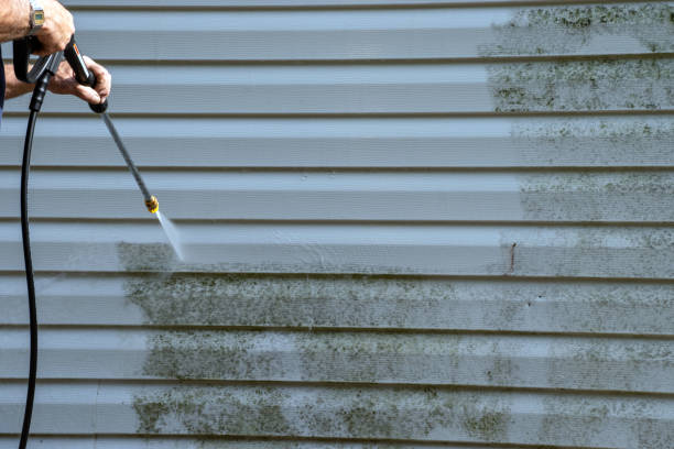 Best Siding Removal and Disposal  in Nice, CA