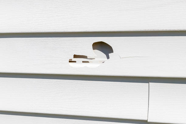 Best Historical Building Siding Restoration  in Nice, CA