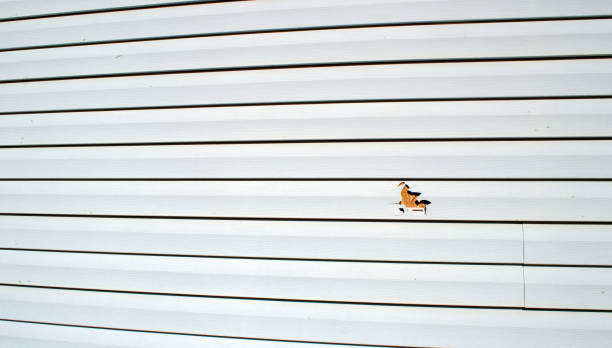 Best Composite Siding  in Nice, CA