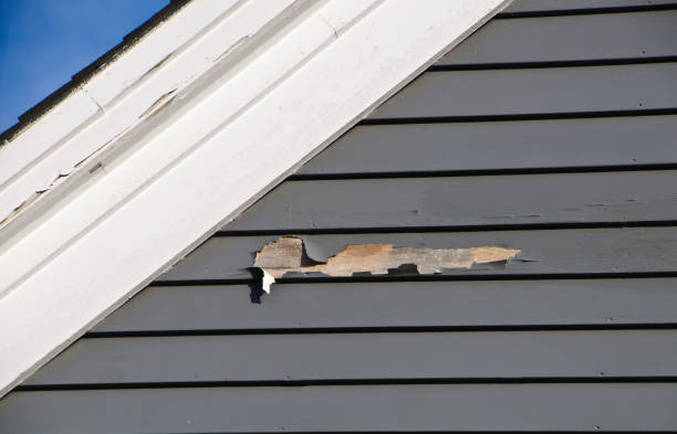  Nice, CA Siding Installation Pros