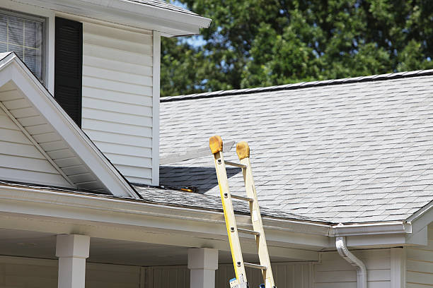 Affordable siding repair and maintenance services in Nice, CA